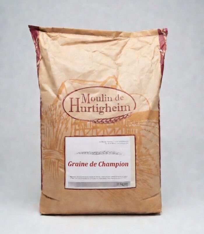 Graine de champion